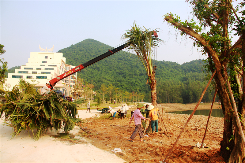 Mường Thanh Hotel