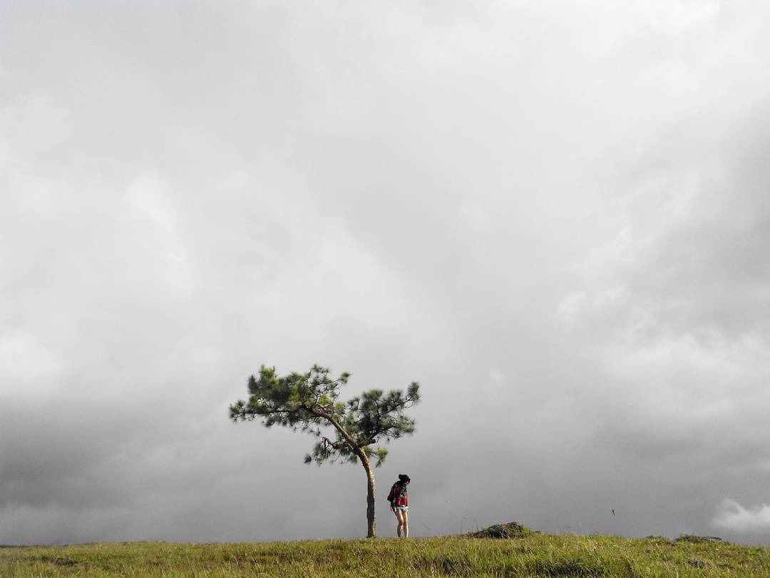 Đồi Thiên Phúc Đức - @leona_vo     