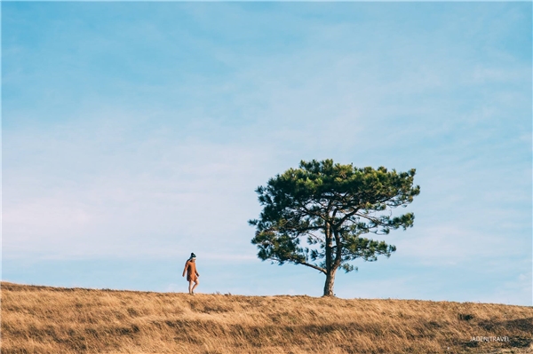 Đồi Thiên Phúc Đức - Jaden Travel