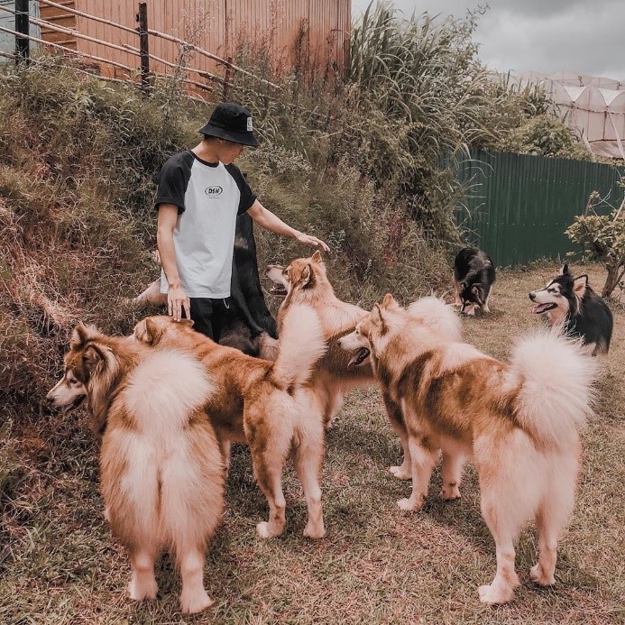 Black Rock Garden -  @vhung94   