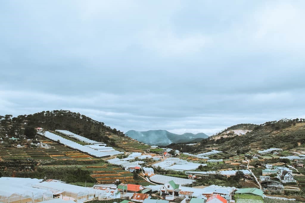 Đồi thông phía sau Black Rock Garden - Ảnh: Instagram
