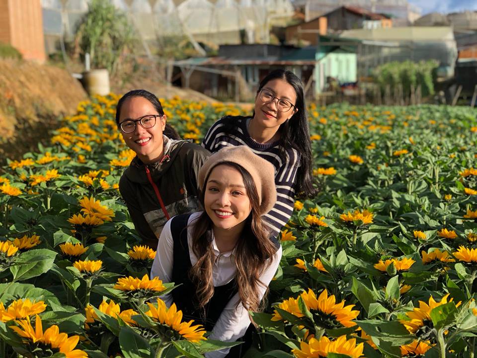 Cánh đồng hoa Black Rock Garden ở Trại Mát