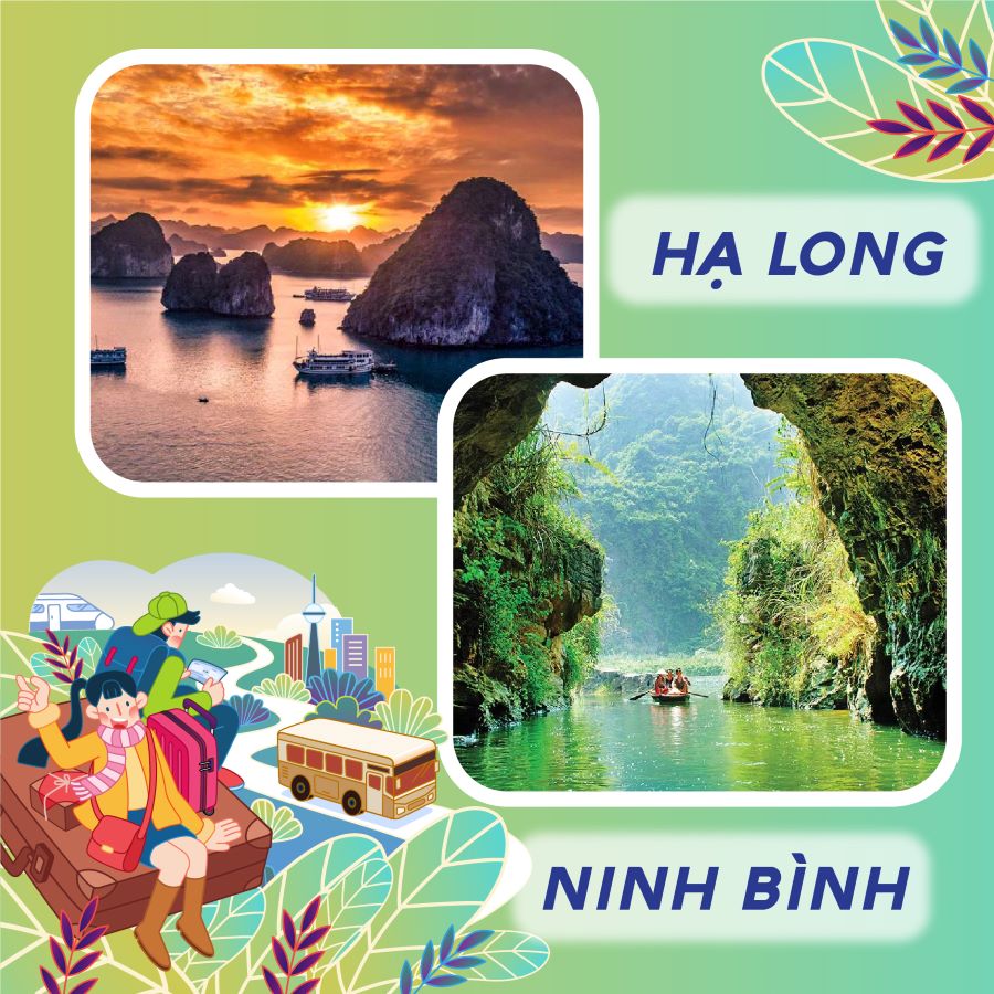 Du-lich-Tet-duong-cung-Muong-Thanh-Ha-Long-Ninh-Binh