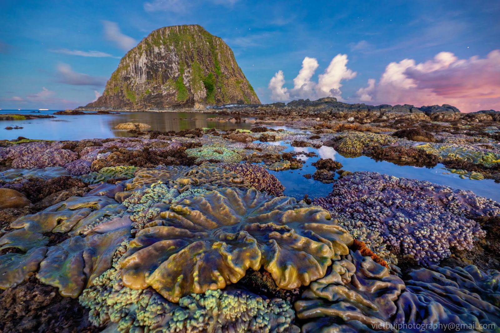 Du-lich-phu-yen-mua-he-1