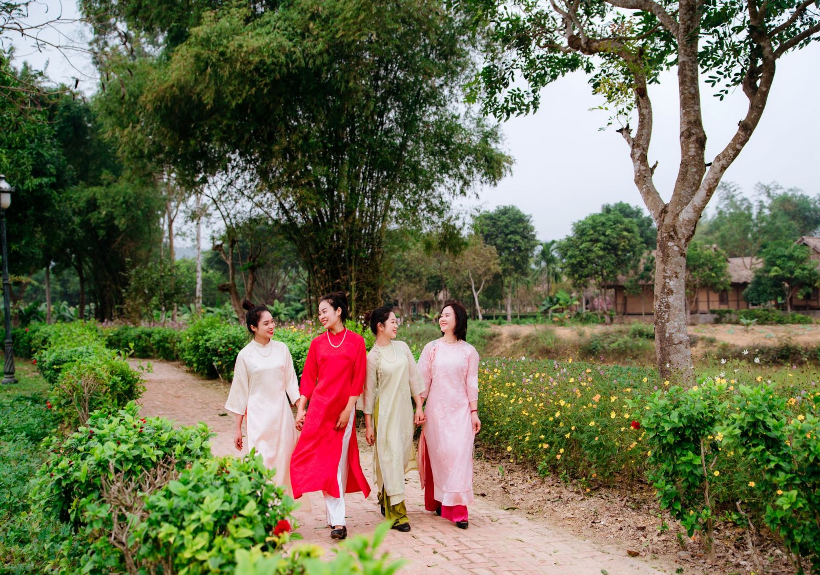 Lang-viet-co-tai-Muong-Thanh-Green-Land-Dien-Lam-1