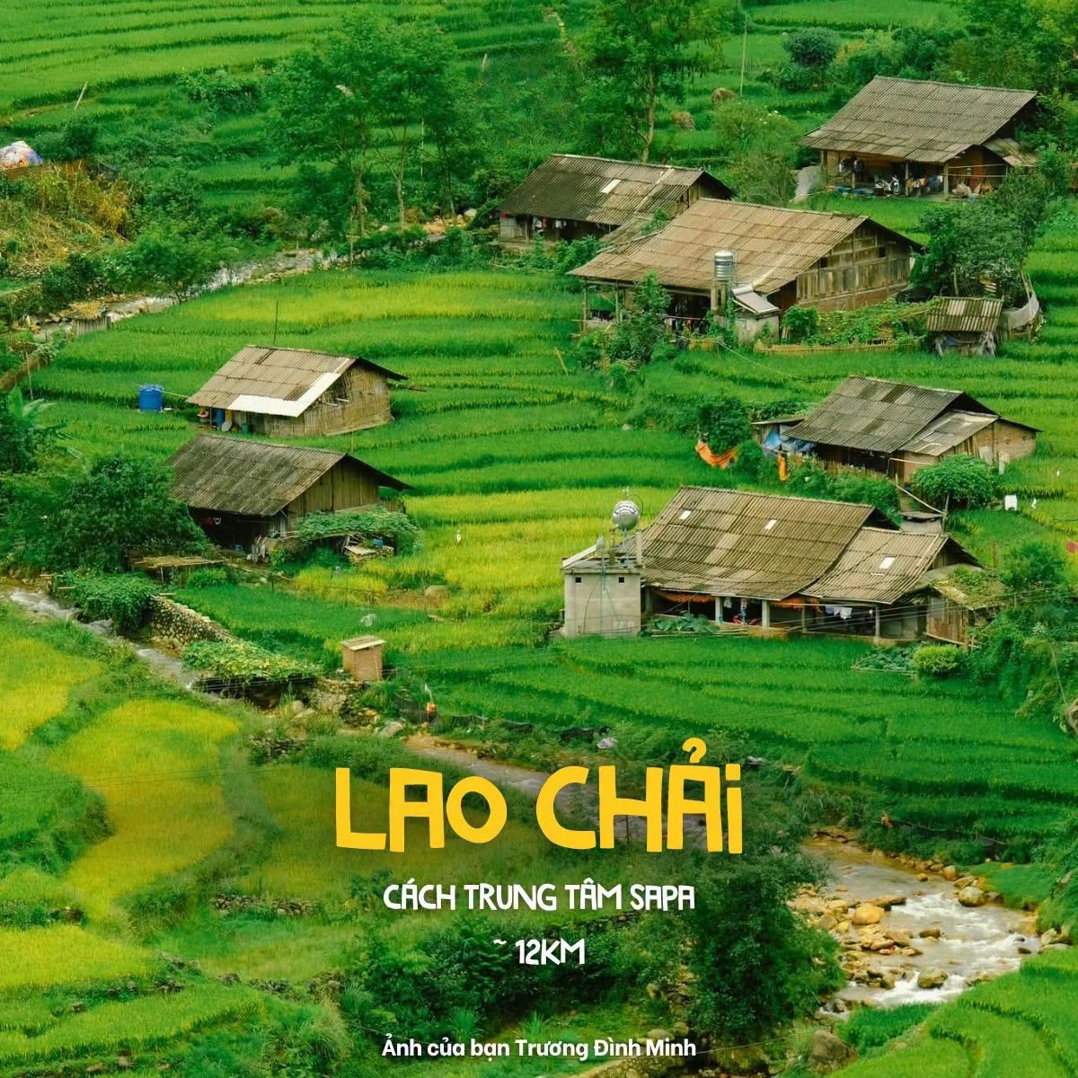 ban-lao-chai