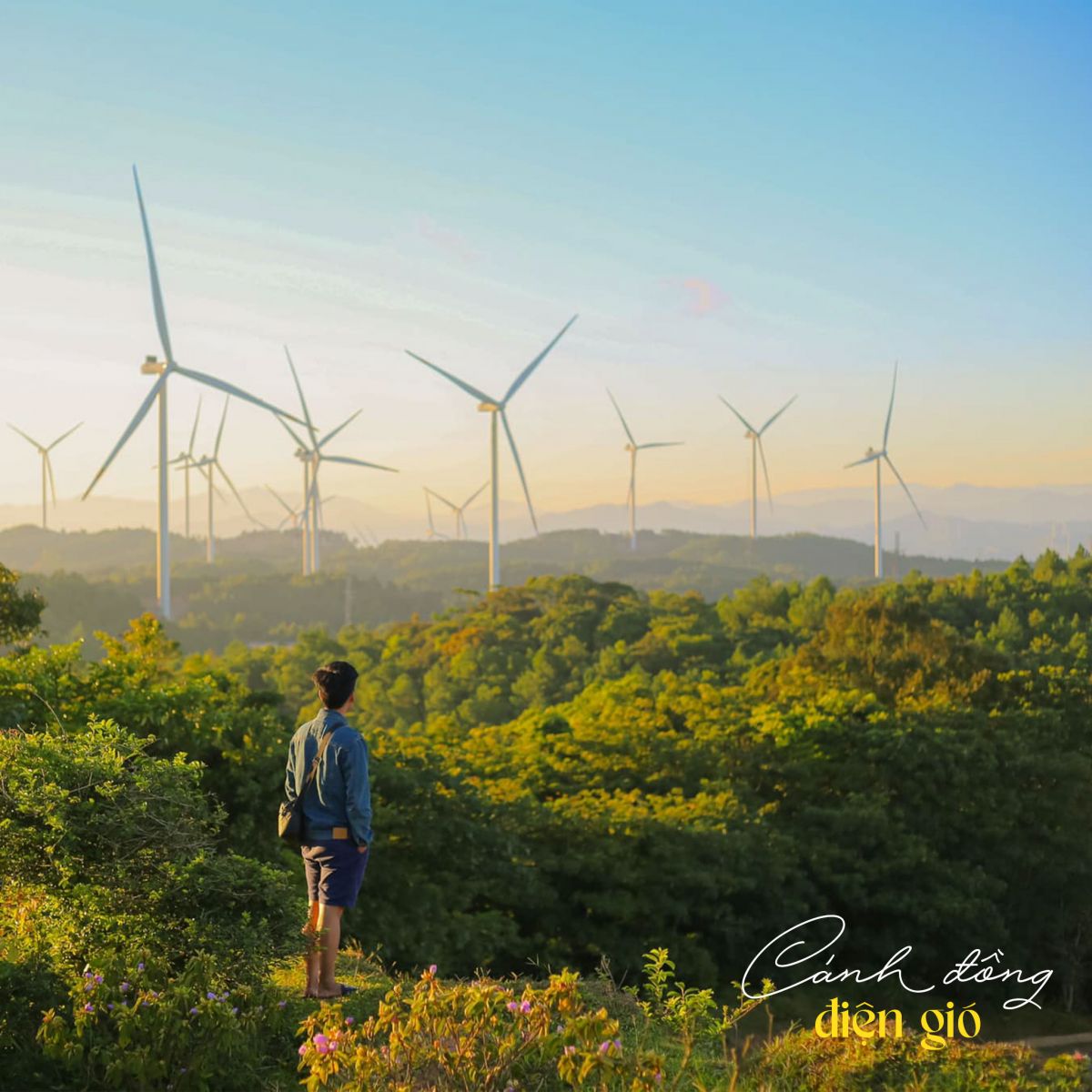 canh-dong-dien-gio-quang-tri