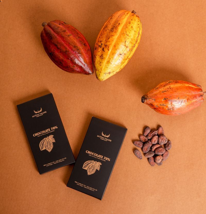chocolate-made-by-muong-thanh
