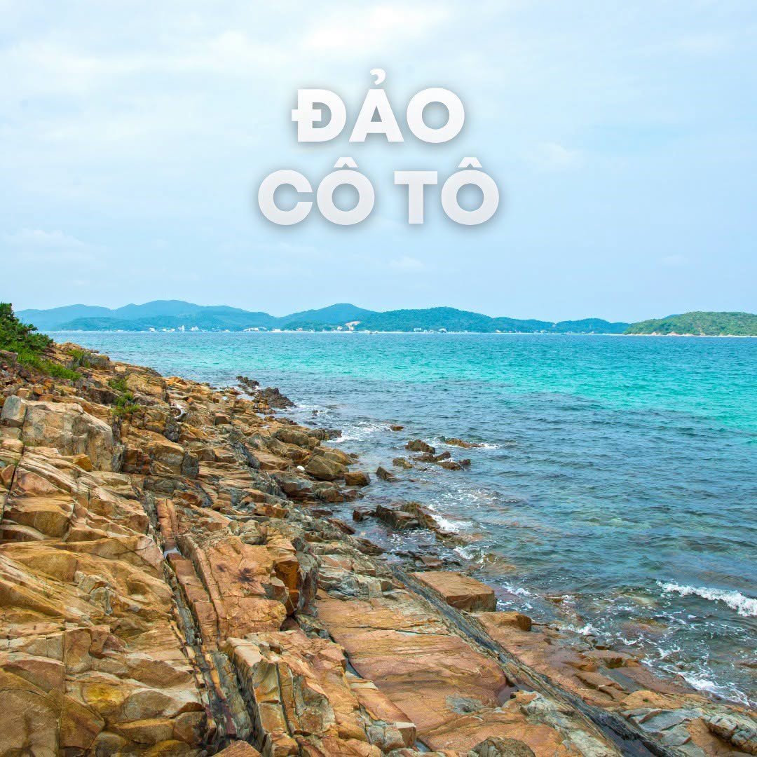 dao-co-to
