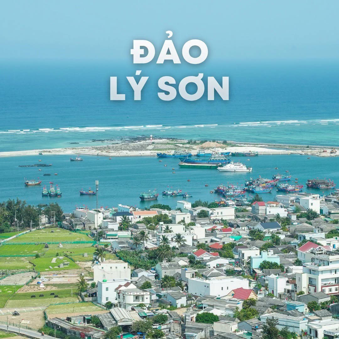 dao-ly-son