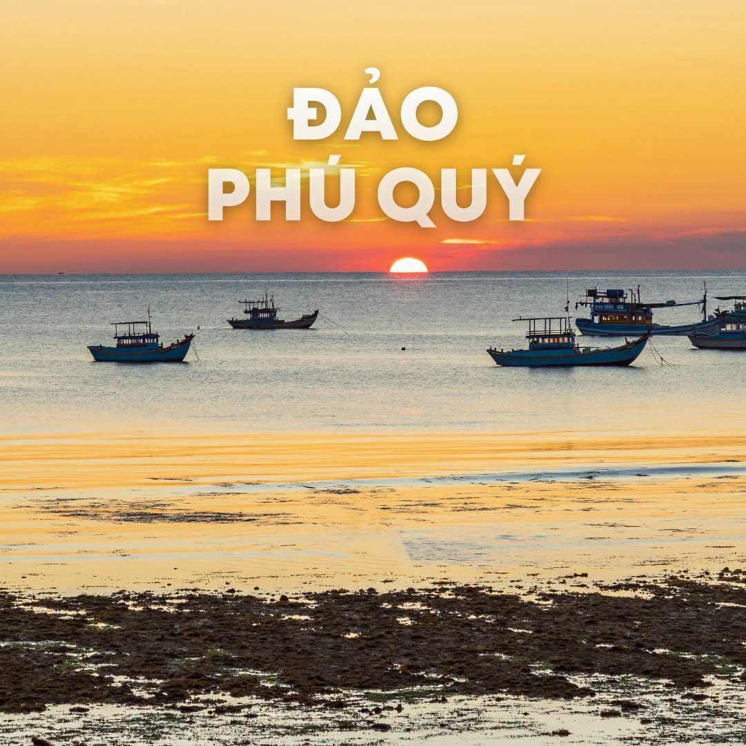 dao-phu-quy