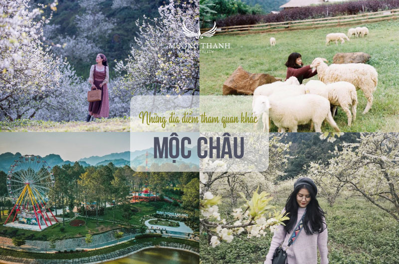 diem-tham-quan-moc-chau