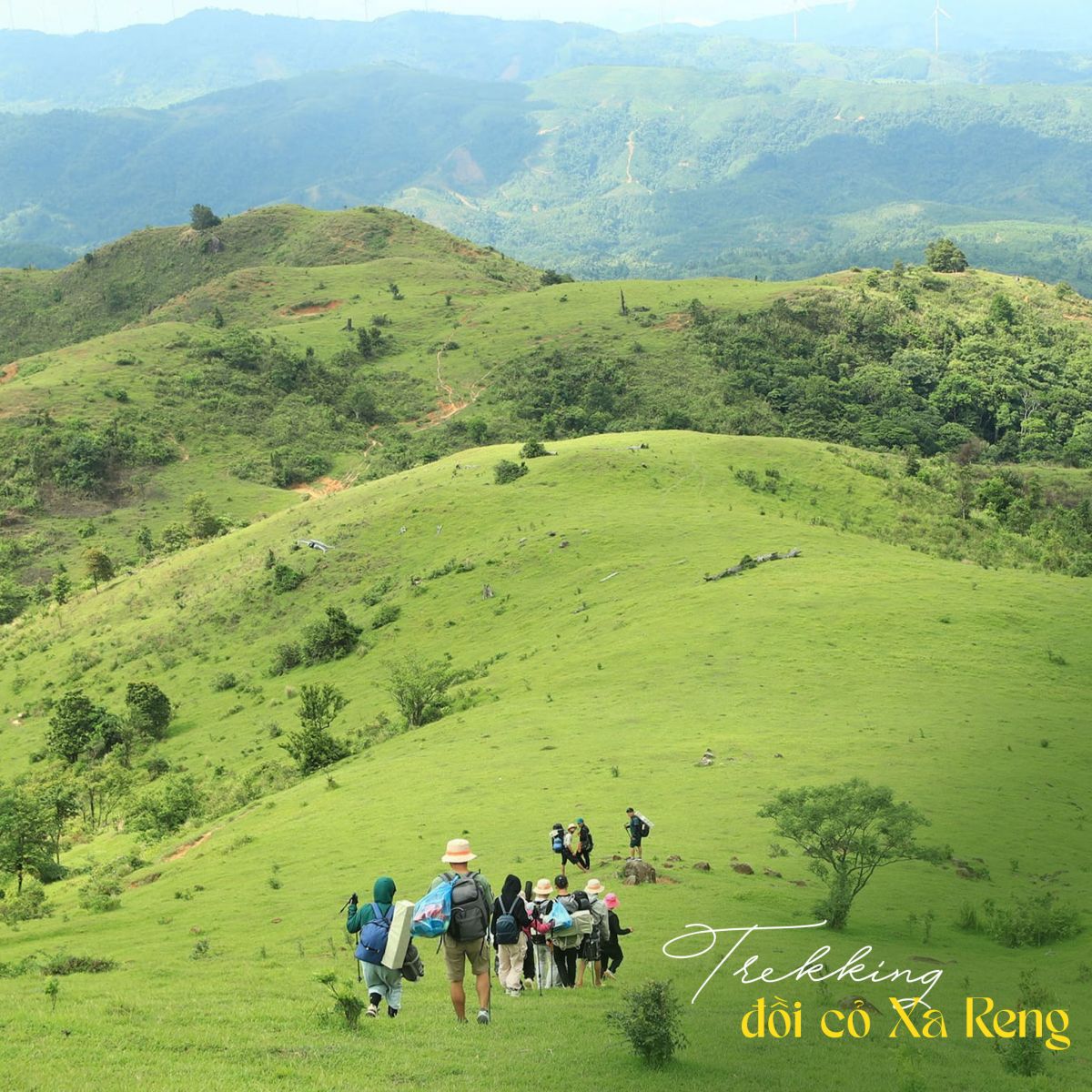 doi-co-xa-reng-quang-tri