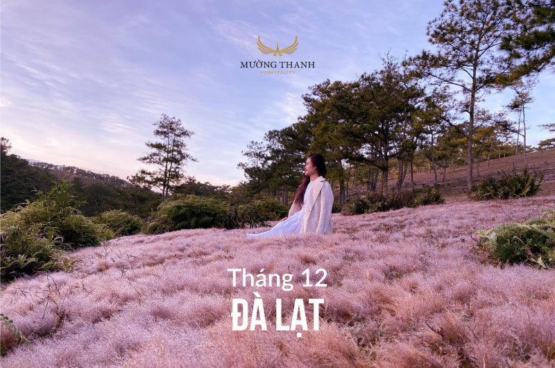 du-lich-da-lat-thang-12