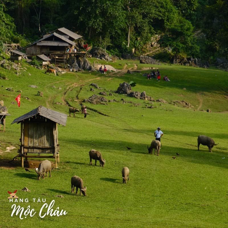 hang-tau-moc-chau