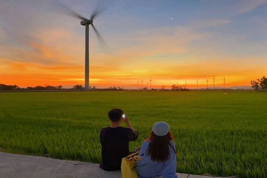 hoang-hon-tren-canh-dong-dien-gio