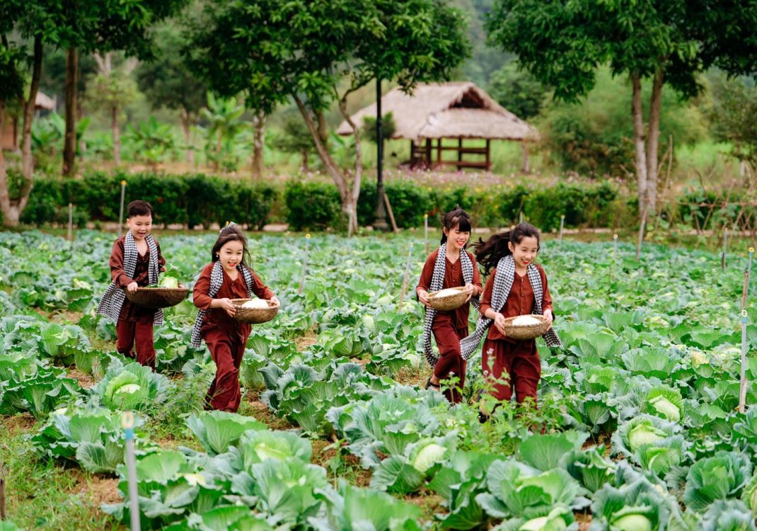 khu-lang-viet-tai-muong-thanh-green-land-dien-lam-2