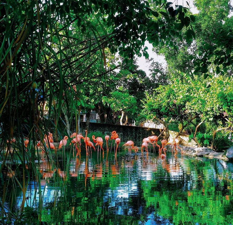khung-canh-tai-muong-thanh-zoo-1