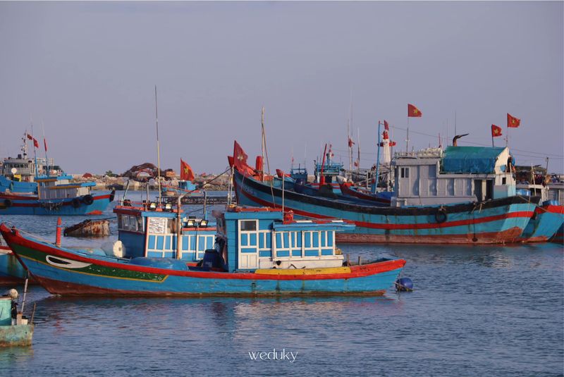 ly-son-2