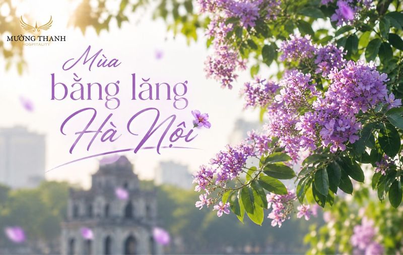 mua-bang-lang-ha-noi