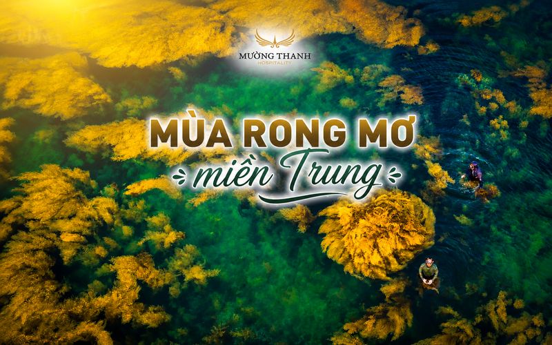 mua-rong-mo-mien-trung