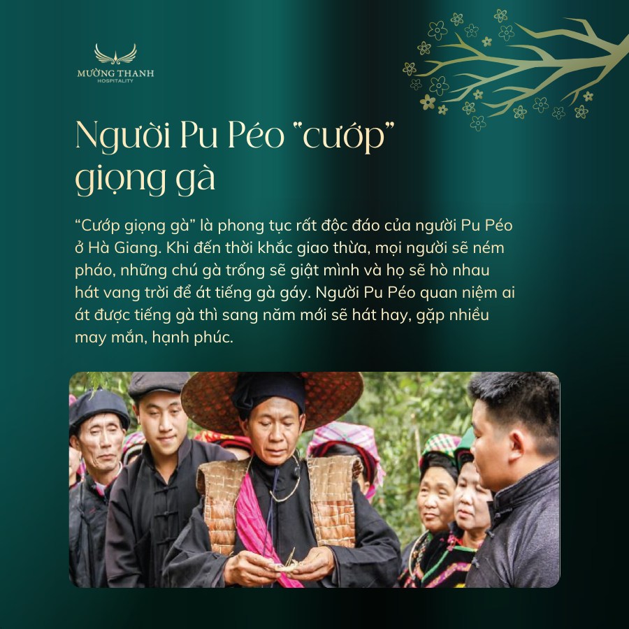 nguoi-pu-peo-cuop-giong-ga