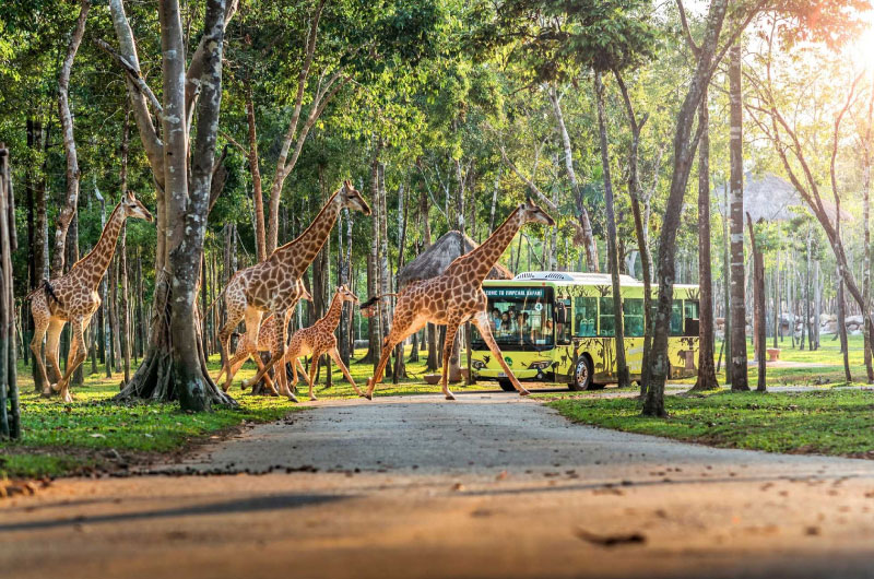 safari-phu-quoc