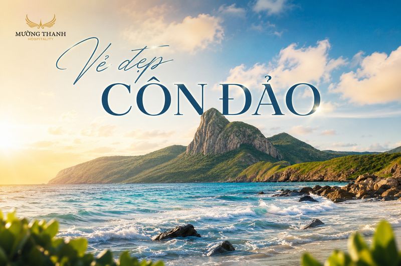 ve-dep-con-dao