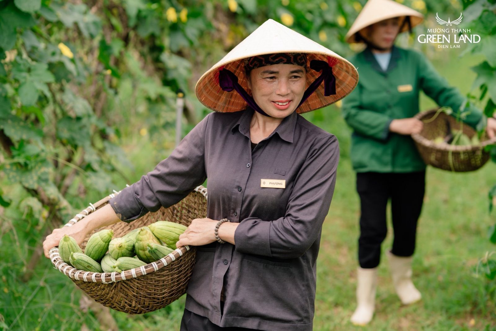 vuon-rau-xanh-muong-thanh-green-land-dien-lam-2