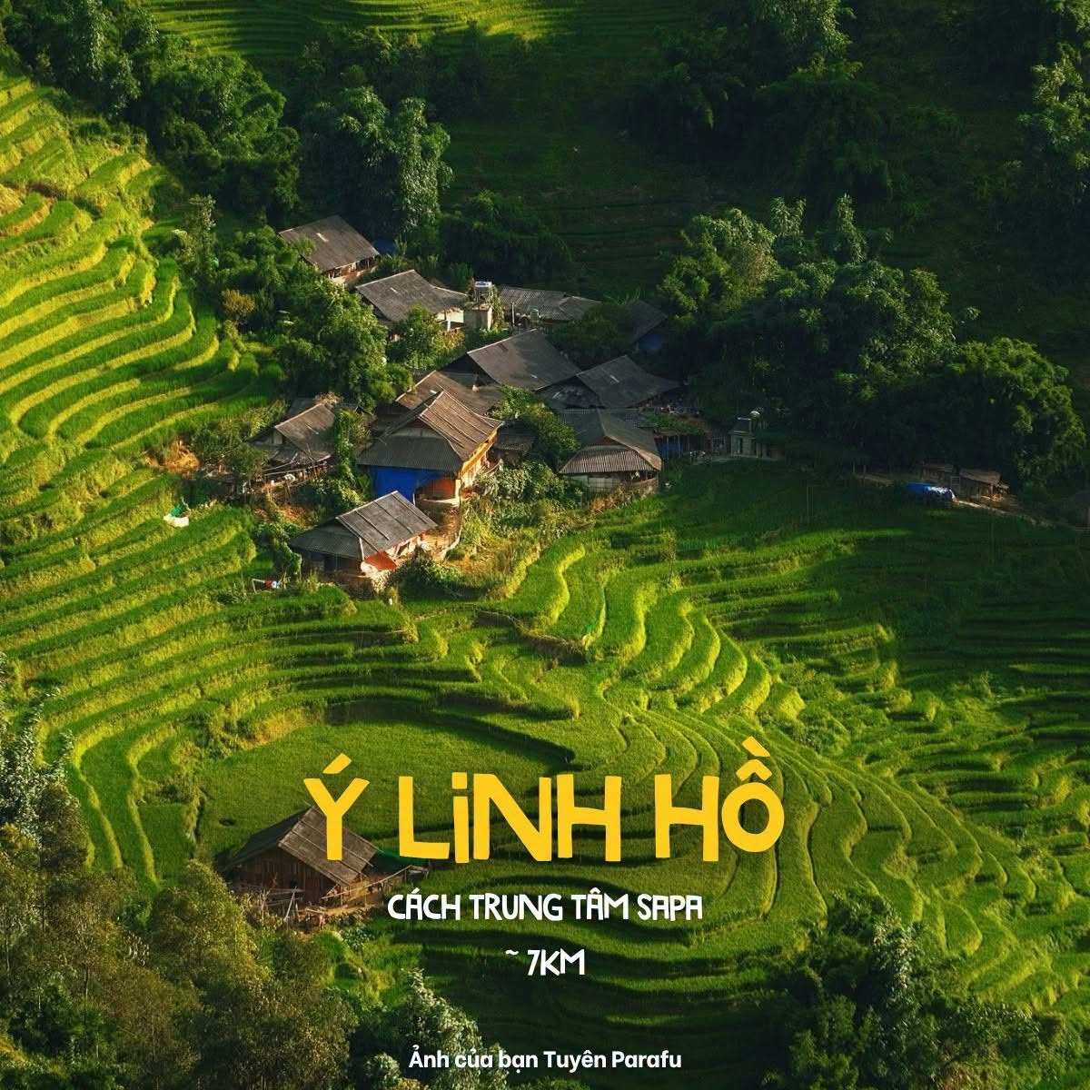 y-linh-ho